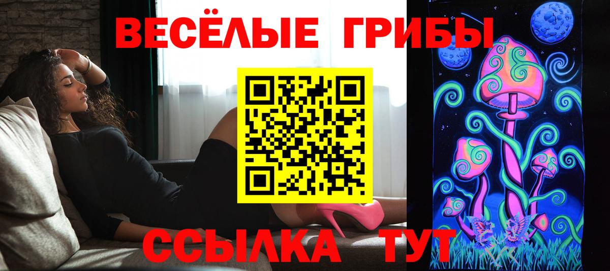 Псилоцибиновые грибы мухоморы Ульяновск